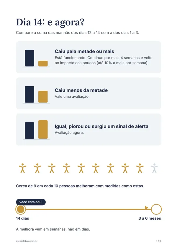 Página 8 do guia: a regra do dia 14