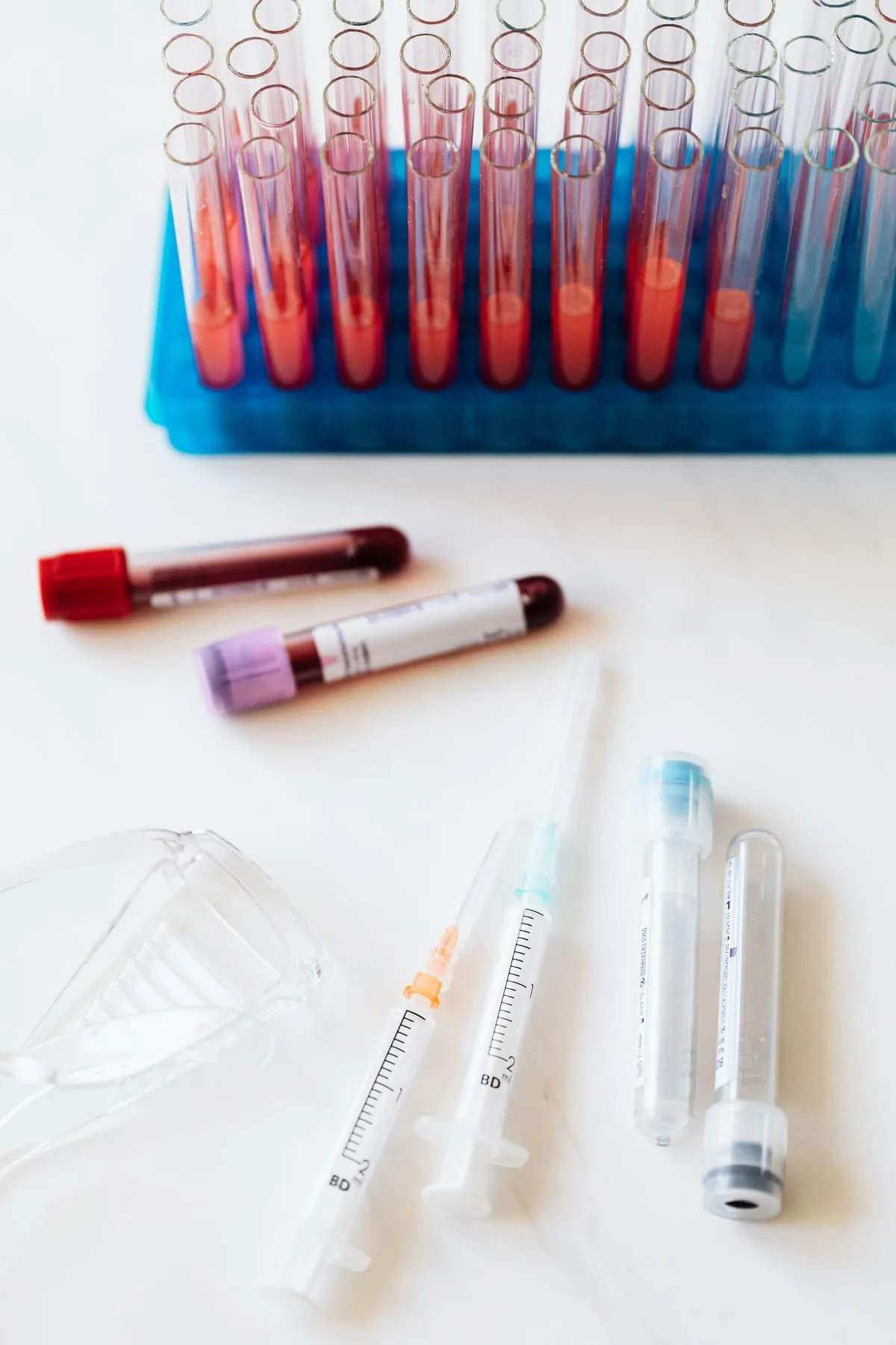 Preparo de ortobiológicos em laboratório — imagem ilustrativa